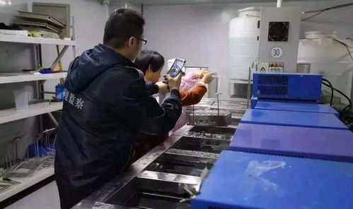 深圳環保消防嚴查風暴下，一家工廠的關閉與反思